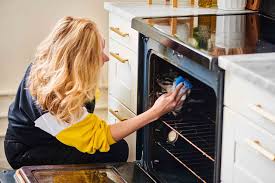 Professional Oven Deep Cleaning